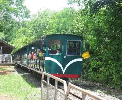 Ecological Train Ride at Iguazu Falls