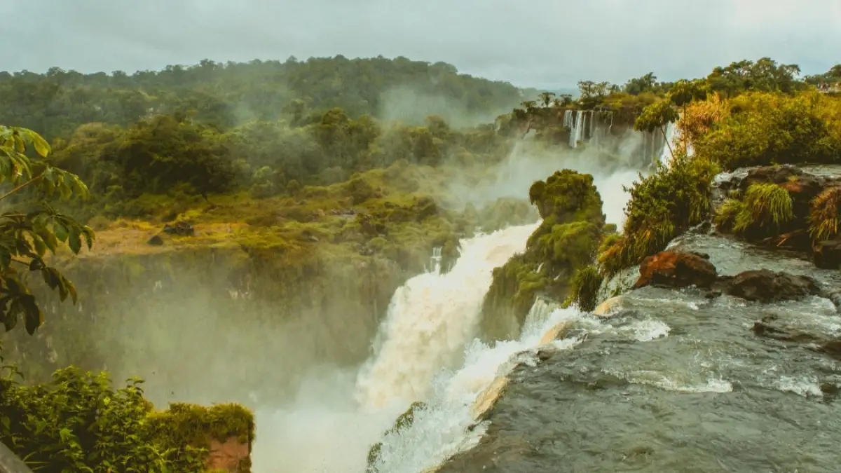 Iguazu Falls are surrounded by rainforest on the Brazilian side